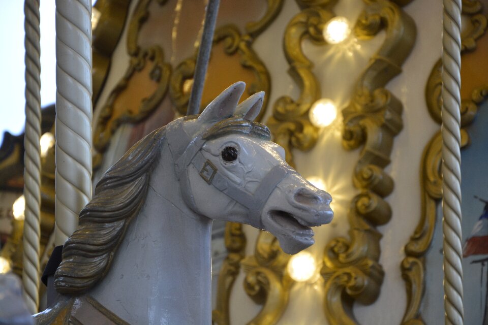 Horse wood animal