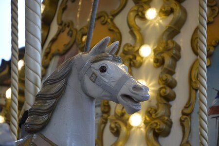 Horse wood animal