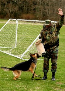 US Navy 070314-N-6247M-008 Master-at-Arms 1st Class Linell Tarver, from Montgomery, Ala., and military working dog Nero, demonstrate the capabilities of the Military Police K-9 Program photo