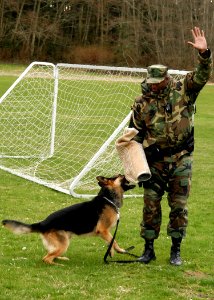 US Navy 070314-N-6247M-008 Master-at-Arms 1st Class Linell Tarver, from Montgomery, Ala., and military working dog Nero, demonstrate the capabilities of the Military Police K-9 Program