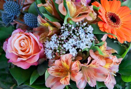 Bouquet pink florist photo