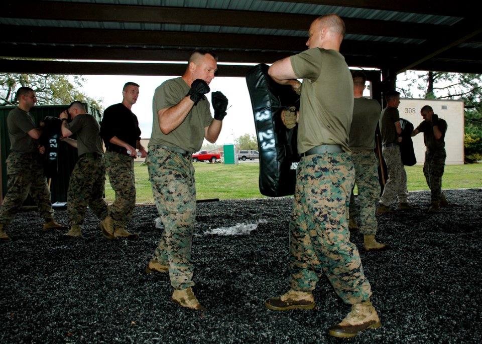 US Navy 070315-N-7427G-001 Sgt. Maj. Wayne Rumore prepares to strike a punching bag held by Lt. Col. David Bellon as part of green belt martial arts class hosted by the 3rd Marine Expeditionary Unit, 23rd Battalion