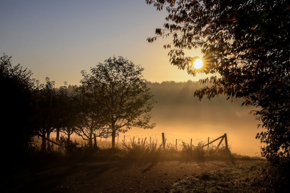 Autumn mood forest nature photo