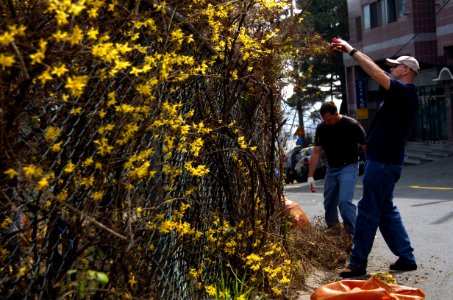 US Navy 070323-N-0555B-018 Chief Aviation Maintenance Administrationman Sean Peters clears weeds from a fence surrounding a tennis court used by children at Daybreak Center, an orphanage in Busan