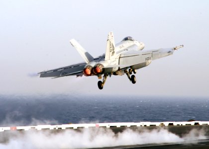 US Navy 070327-N-8446A-008 An F-A-18E Super Hornet, assigned to the Pukin Dogs of Strike Fighter Squadron (VFA) 143, makes an arrested landing on the flight deck of Nimitz-class aircraft carrier USS Dwight D. Eisenhower (CVN 69