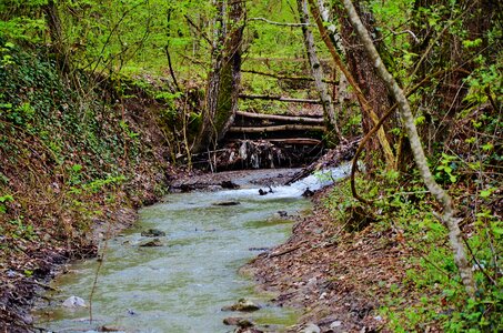 Landscape nature step