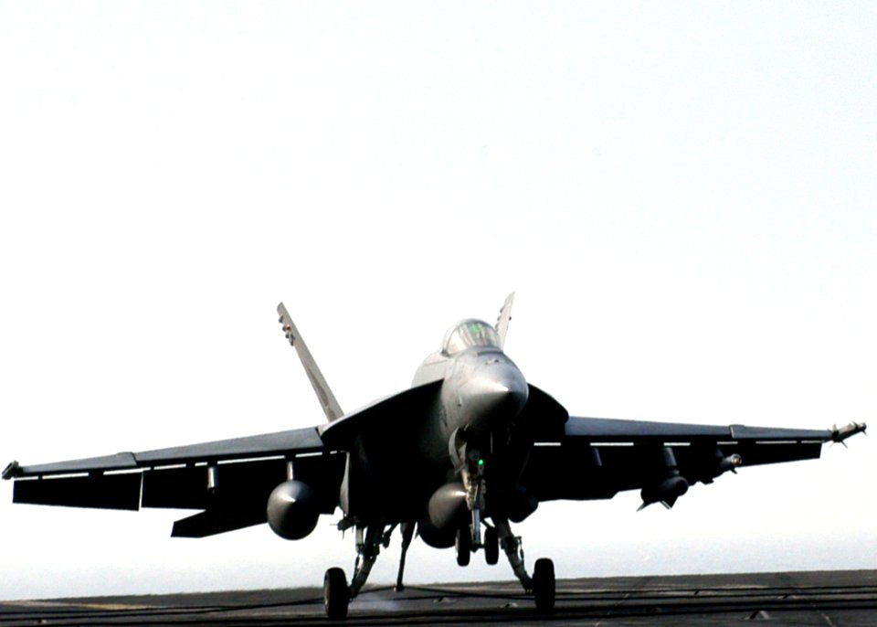 US Navy 070327-N-8446A-009 An F-A-18E Super Hornet, assigned to the Pukin Dogs of Strike Fighter Squadron (VFA) 143, makes an arrested landing on the flight deck of Nimitz-class aircraft carrier USS Dwight D. Eisenhower (CVN 69