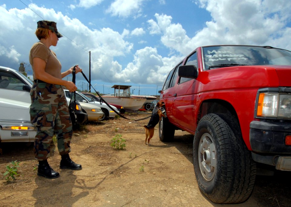 US Navy 070329-N-4965F-014 Master-At-Arms 1st Class Jinine Green and her military working dog, Malibu, a 2-year-old Jack Russell Terrier mixed breed, search for drugs during a training exercise on board Naval Station Pearl Harb