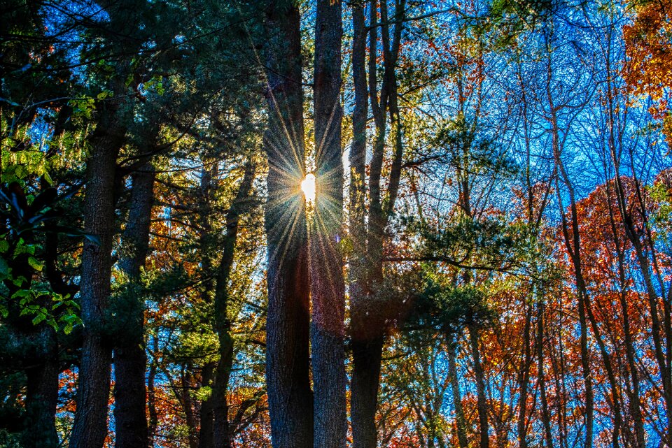 Nature sun fair weather