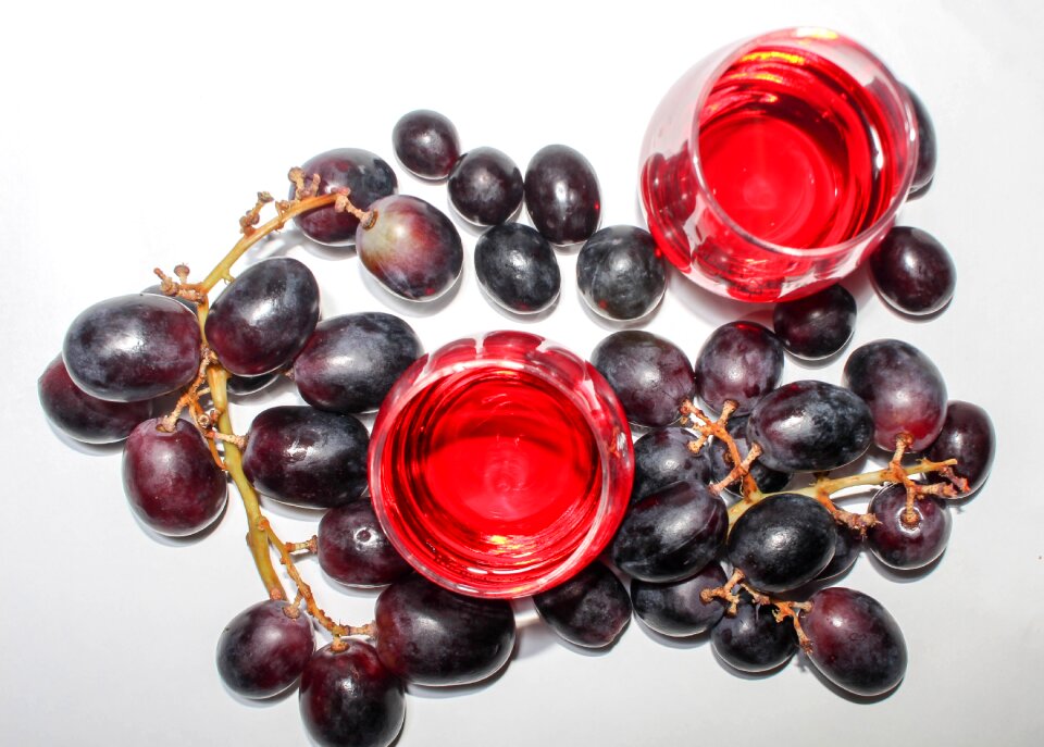 Vine winery healthy
