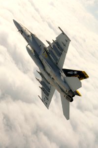 US Navy 070412-N-8591H-152 An F-A-18E Super Hornet from Strike Fighter Squadron (VFA) 27 performs aerial maneuvers during a photo exercise in front of Mount Fuji