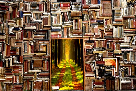 The magical world magic door