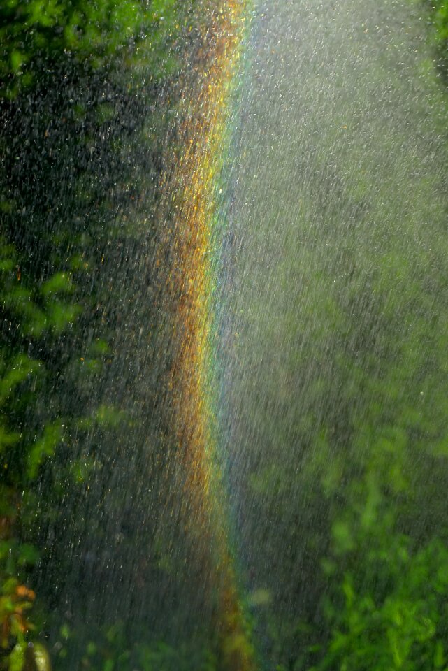 Water splashes garden green