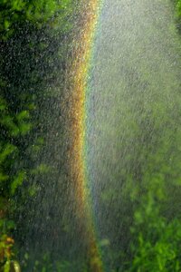 Water splashes garden green photo