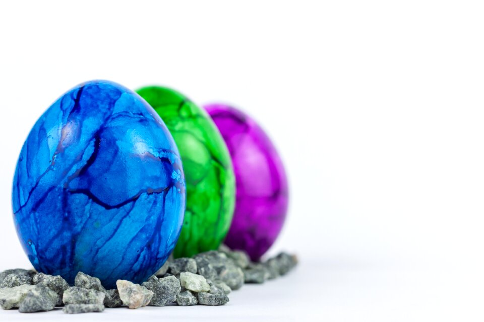 Egg colorful colored