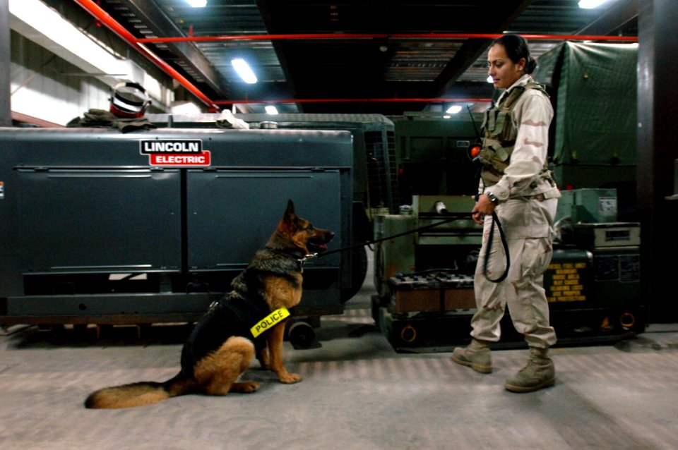 US Navy 070507-N-9818V-071 Master-at-Arms 3rd Class Lisette Latorre, attached to Naval Security Force, K-9 Unit, trains with her military working dog Anna, a four-year-old German shepard