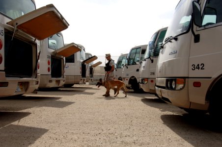 US Navy 070507-N-9818V-269 Master-at-Arms 2nd Class Jeremy Aldrich, attached to Naval Security Force, K-9 Unit, and his military working dog Tyson, a four-year-old blue Belgium Malinois, search a line of buses in front of Naval photo