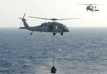 US Navy 070515-N-3038W-020 An MH-60S Seahawk, from the Wild Cards of Helicopter Sea Combat Squadron (HSC) 23, left, and an HH-60H Seahawk, from the
