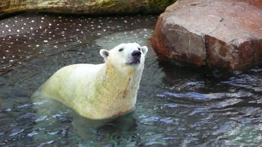 Aquarium kaiyukan water world