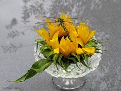 Quiet summer life glass bowl silhouette