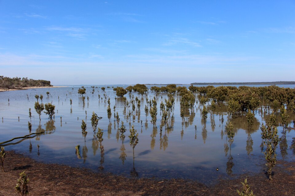 Australia ramsar wild