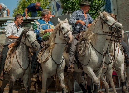 Horses riders feria