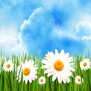 Lawn open air design