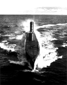 USS Cusk SS-348;0834810