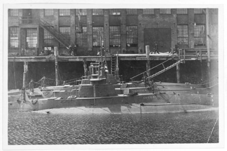 USS Cuttlefish USS Tarantula USS Viper - NH 29