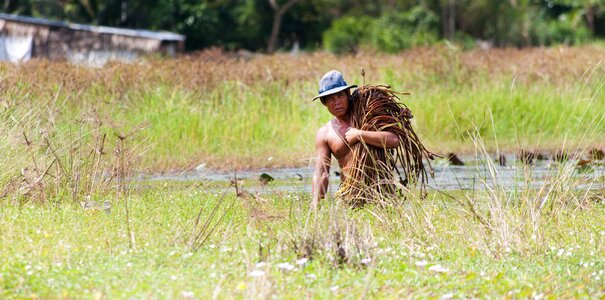 Miserable livelihood farmer photo