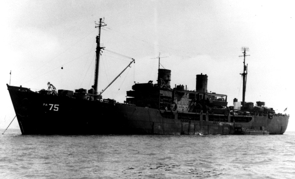 USS Cortland (APA-75) at Bikini Atoll, circa in mid-1946 (NH 83403)