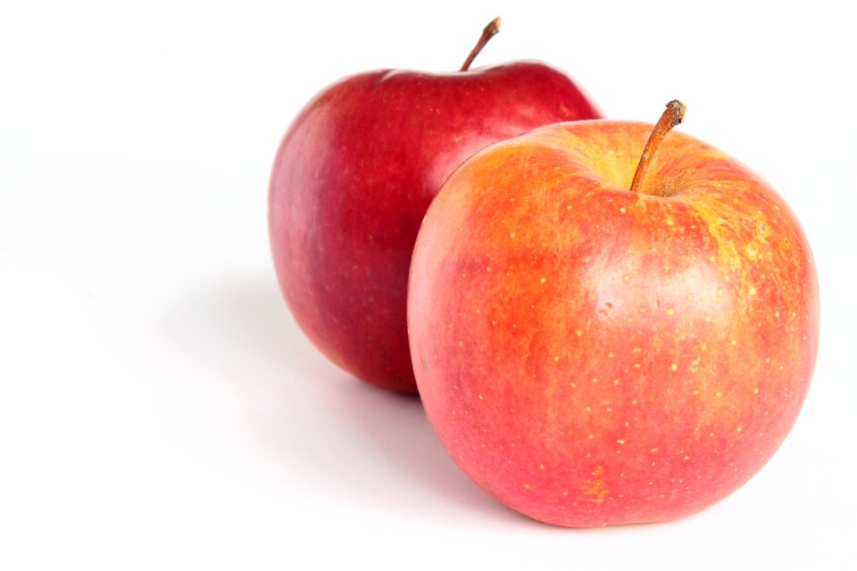 Two fruits garden sad