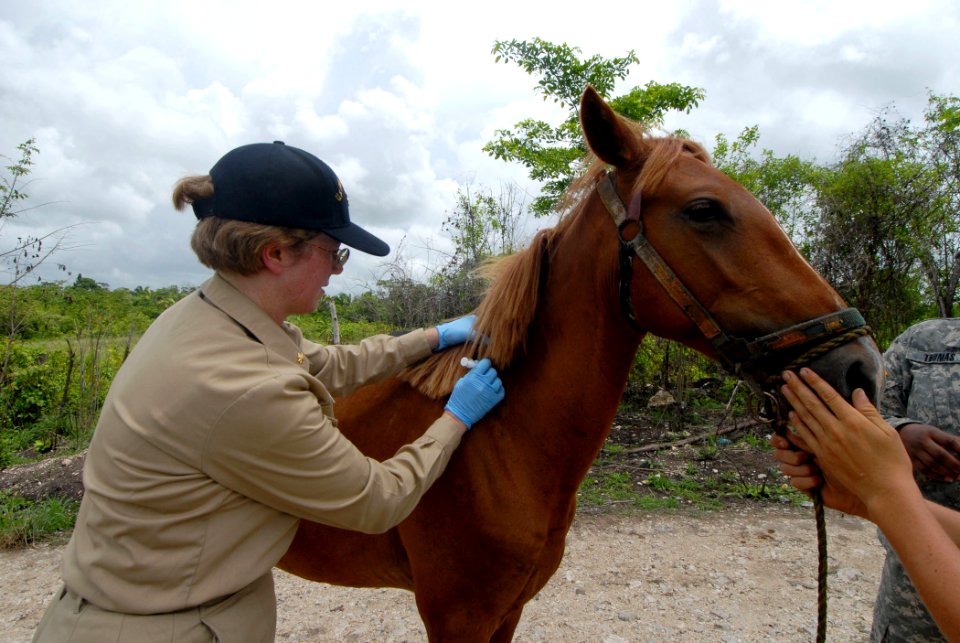 US Navy 070623-N-8704K-106 U.S. Public Health Service Lt. Cmdr. Catherine Rockwell, attached to the Military Sealift Command hospital ship USNS Comfort (T-AH 20), performs veterinary care