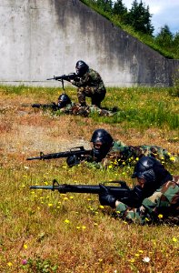 US Navy 070628-N-2143T-001 Sailors assigned to Marine Corps Security Forces Company shoot M-16 rifles on board Naval Base Kitsap Bangor during Basic Security Guard training