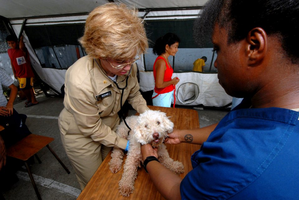 US Navy 070630-N-8704K-042 Lt. Cmdr. Catherine Rockwell, attached to the Military Sealift Command hospital ship USNS Comfort (T-AH 20), provide veterinary care to a pet at Medical Center Morales