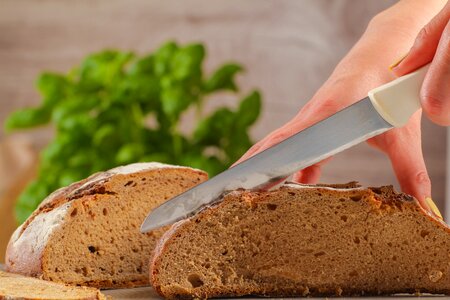 Food fresh homemade