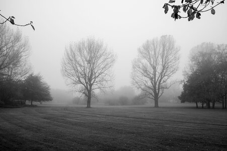 Fog black and white photography autumn