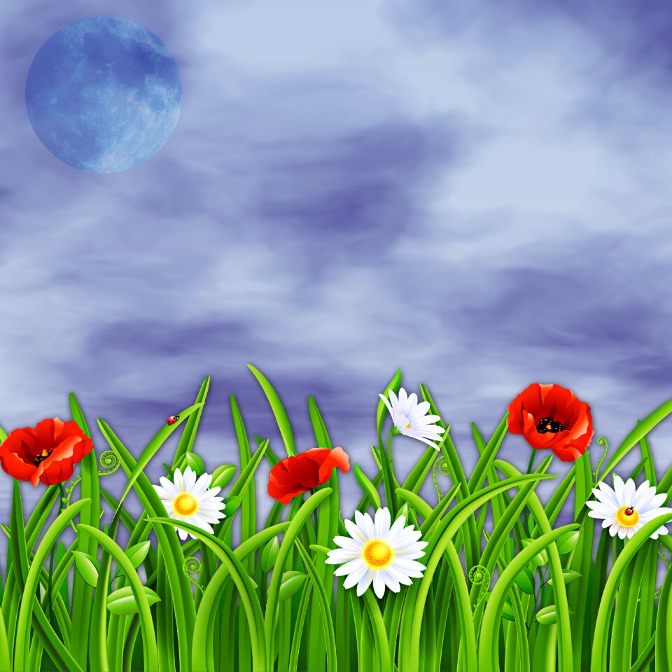 Flowers open air sky