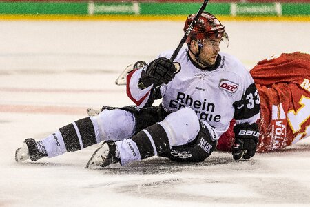 Skates hockey player winter sports