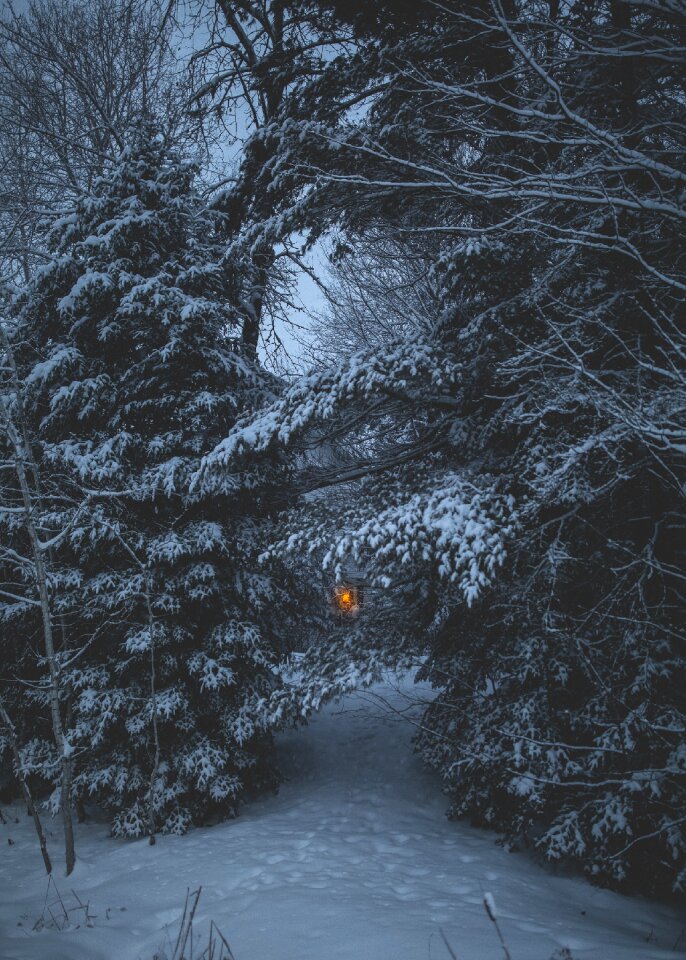 Winter cold weather