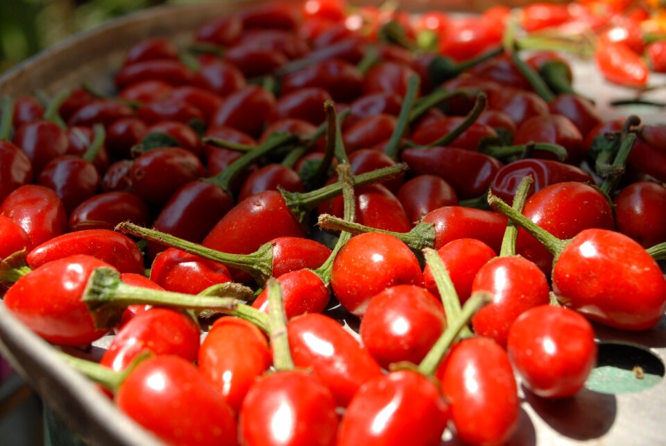 Chile chiles nature