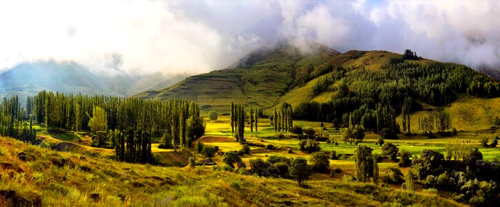 Landscapes nature sky grass