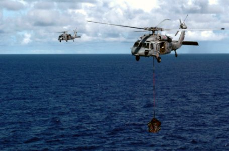 US Navy 070806-N-3038W-151 Two MH-60S Seahawks attached to the Wild Cards of Helicopter Sea Combat Squadron (HSC) 23 deliver supplies from the Military Sealift Command fast-combat support ship USNS Bridge (T-AOE 10)