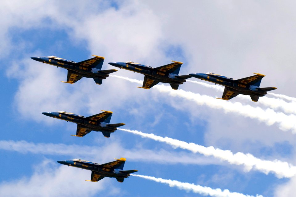 US Navy 070803-N-3390M-007 The U.S. Na vy flight demonstration team,