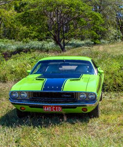 Wheel hurry 1970 dodge challenger photo