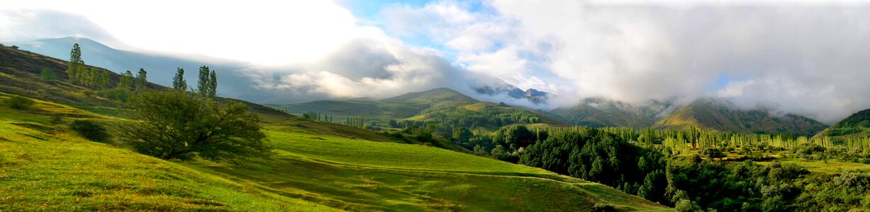 Landscapes nature sky grass