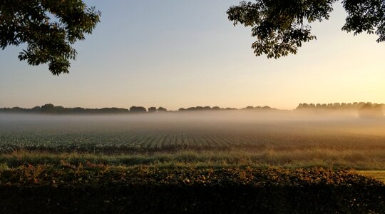 Mist misty nature photo