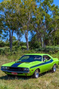 Wheel muscle car 1970 dodge challenger photo