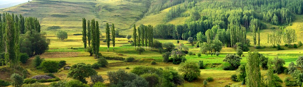Landscapes nature sky grass
