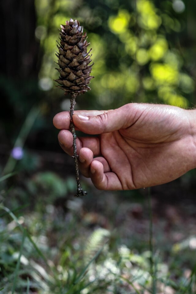 Nature hand male